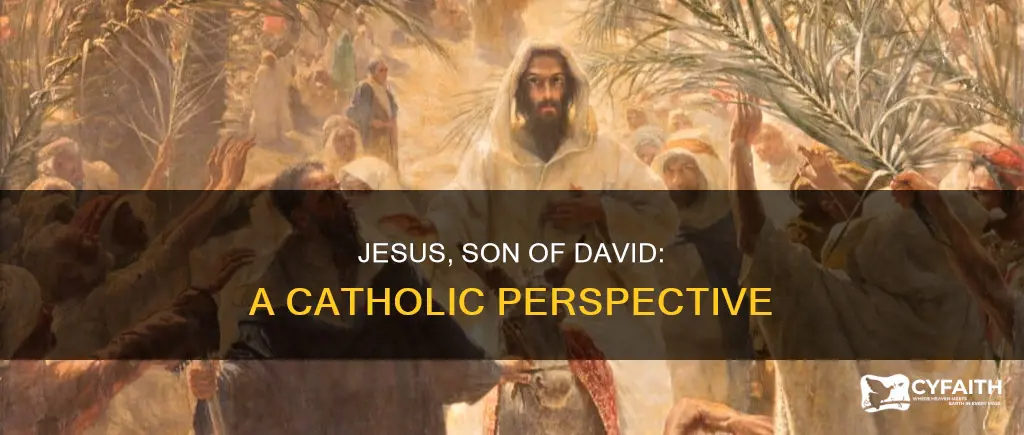 how is jesus the son of david catholic
