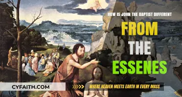 Contrasting John the Baptist and the Essenes: A Historical Perspective