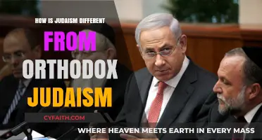 Judaism vs. Orthodox Judaism: Key Differences Explained Simply