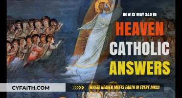 Sadness in Heaven: Catholic Perspective on Emotional States