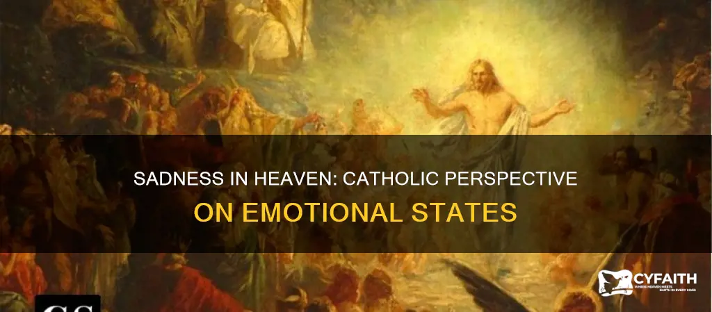 how is may sad in heaven catholic answers