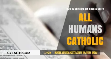 Original Sin's Inheritance: Catholic Teachings on Humanity's Shared Burden