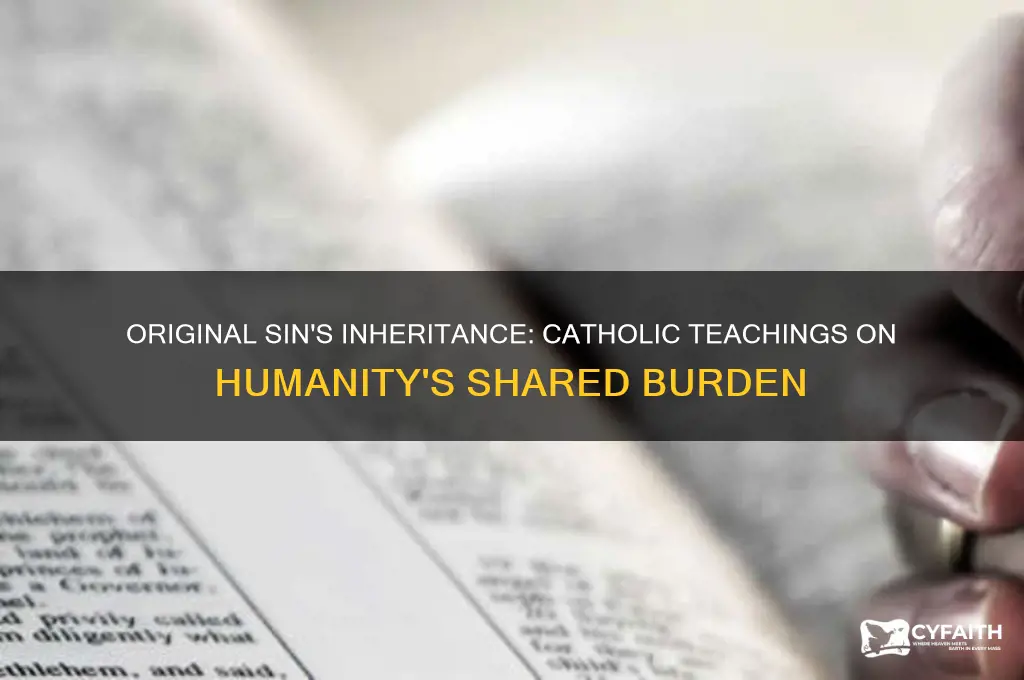how is original sin passed on to all humans catholic
