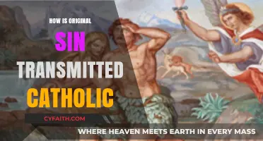 Original Sin: Catholic Transmission Explained