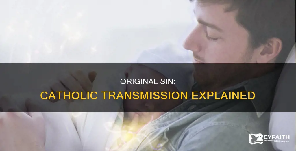 how is original sin transmitted catholic
