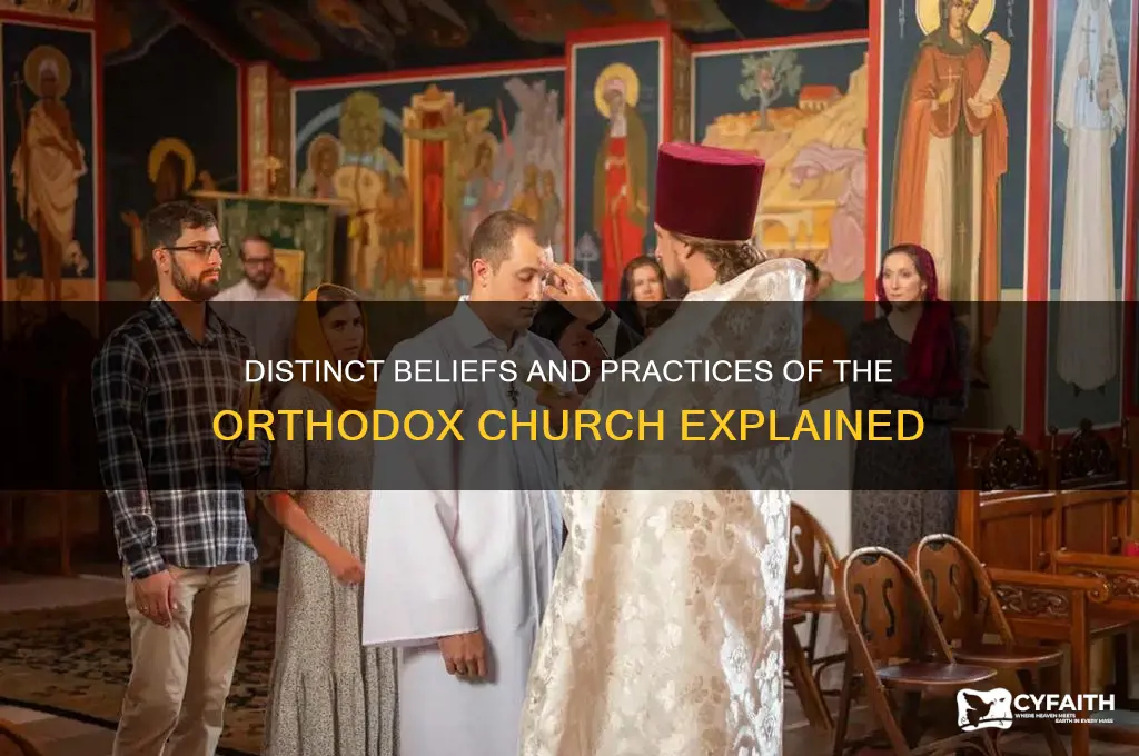 how is orthodox church different