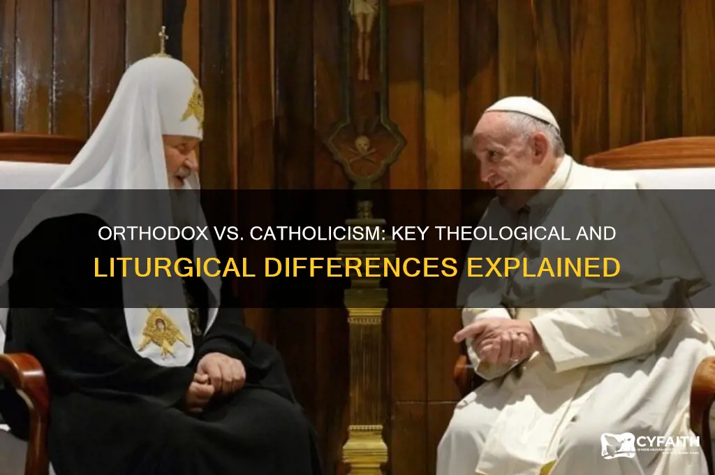 how is orthodox different from catholicism