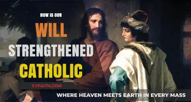 The Strength of Our Will: A Catholic Perspective