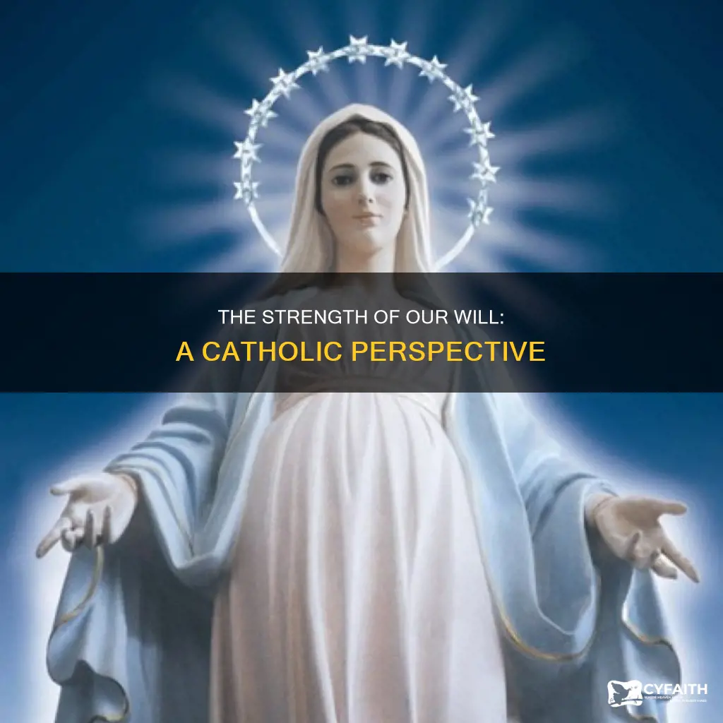 how is our will strengthened catholic