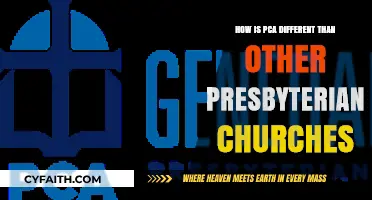 Understanding PCA's Distinctive Theology and Practices Among Presbyterian Churches