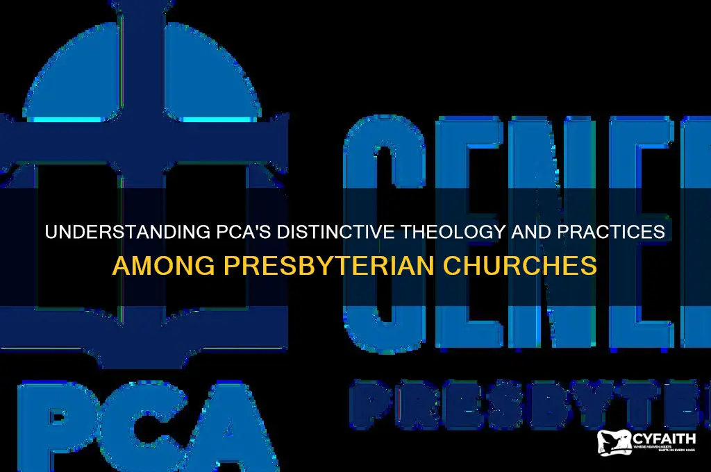 how is pca different than other presbyterian churches