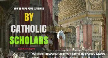 Pope Pius IX: Catholic Scholars' Perspectives on a Controversial Pontiff