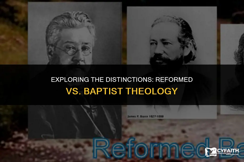 how is reformed theology different from baptist tehology