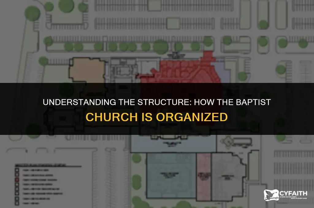 how is the baptist church organized
