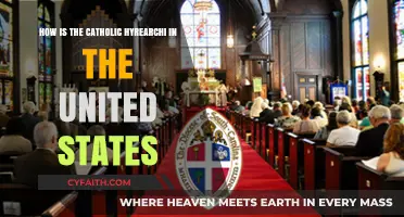 Understanding the Catholic Hierarchy in the United States Today
