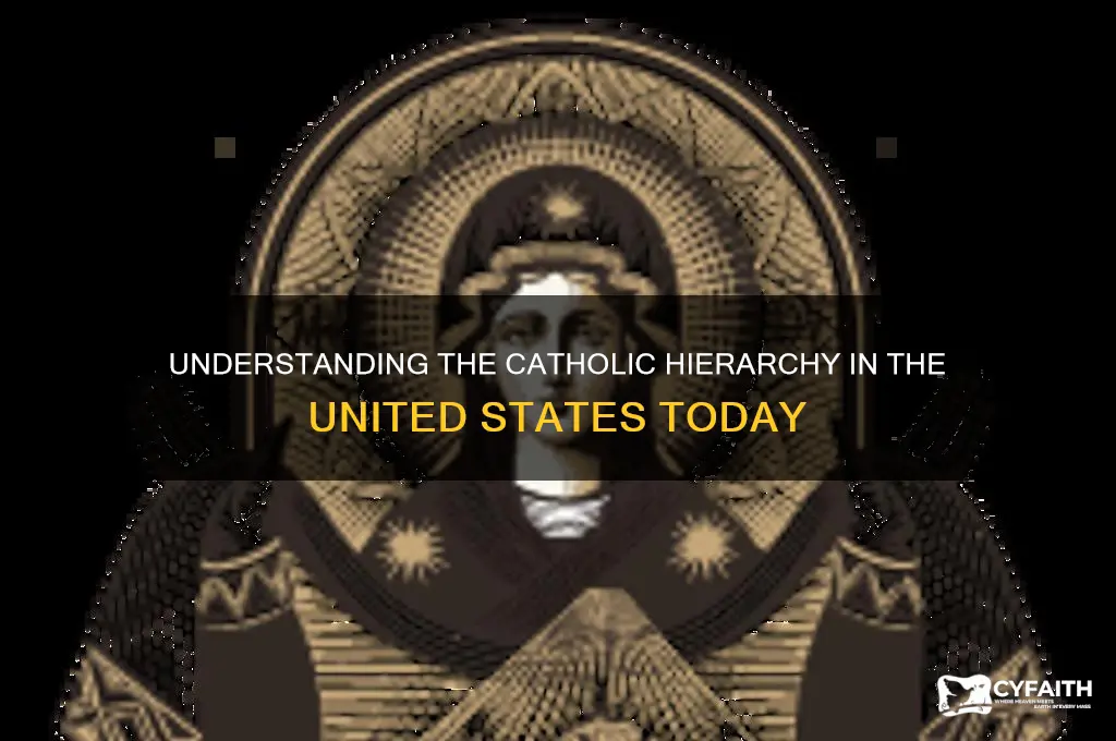how is the catholic hyrearchi in the united states