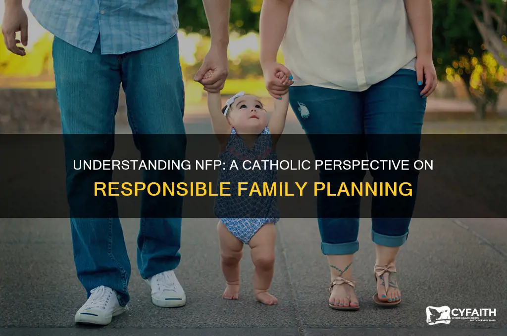 how is the catholic supposed to think of nfp