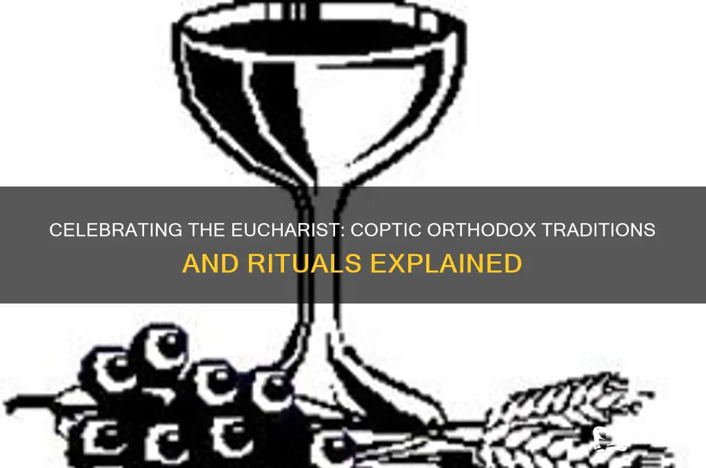 how is the eucharist celebrated in the coptic orthodox church