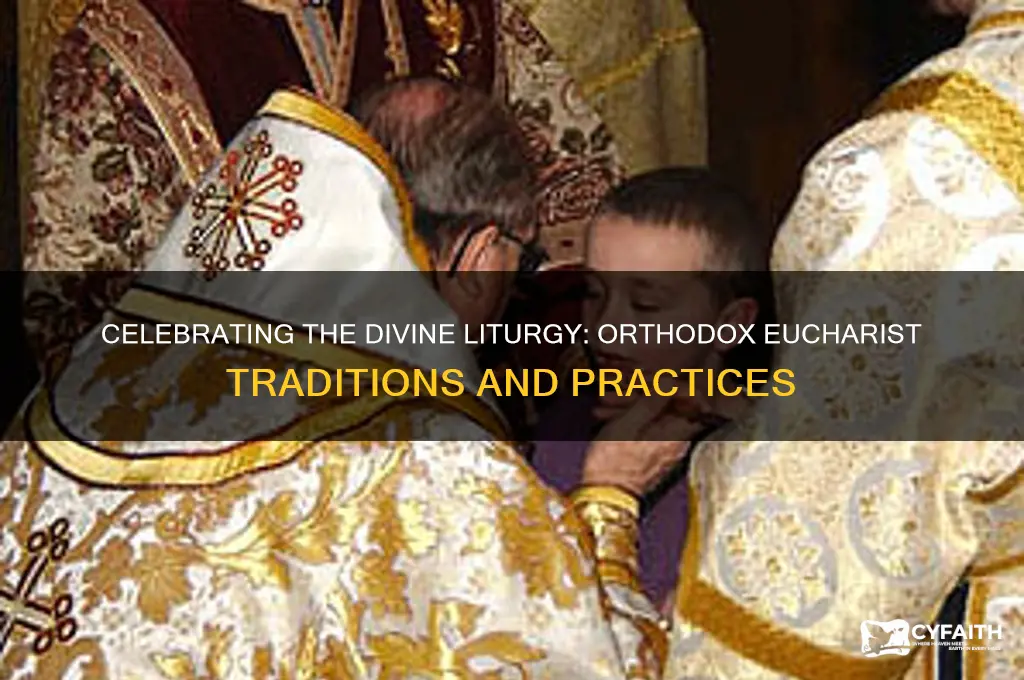 how is the eucharist celebrated in the orthodox church