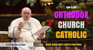 Orthodox Church's Catholic Identity: Unity, Tradition, and Apostolic Faith Explored
