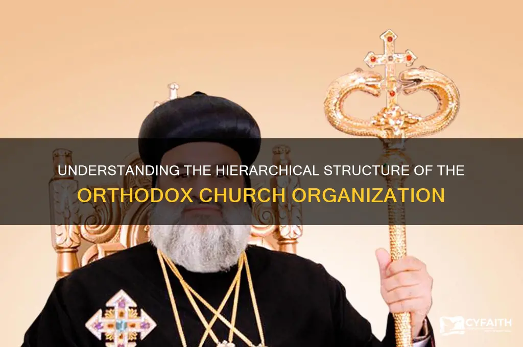 how is the orthodox church organized