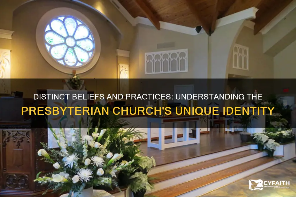 how is the presbyterian church different