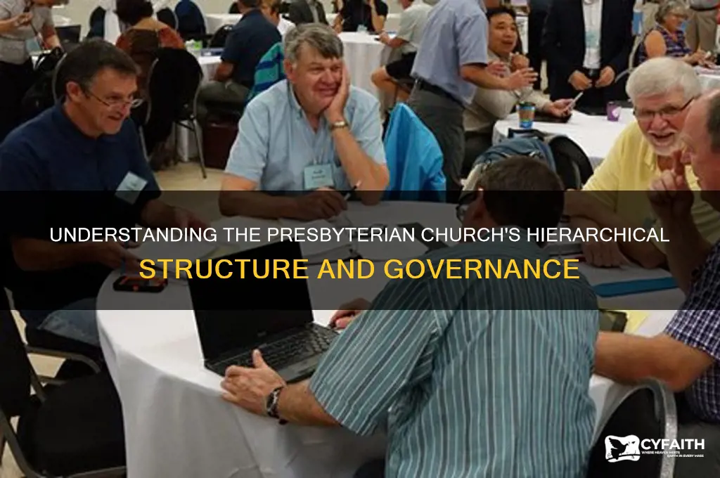 how is the presbyterian church organized