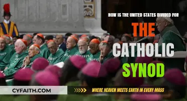 Catholic Synod: Understanding the U.S. Regional Divisions and Representation