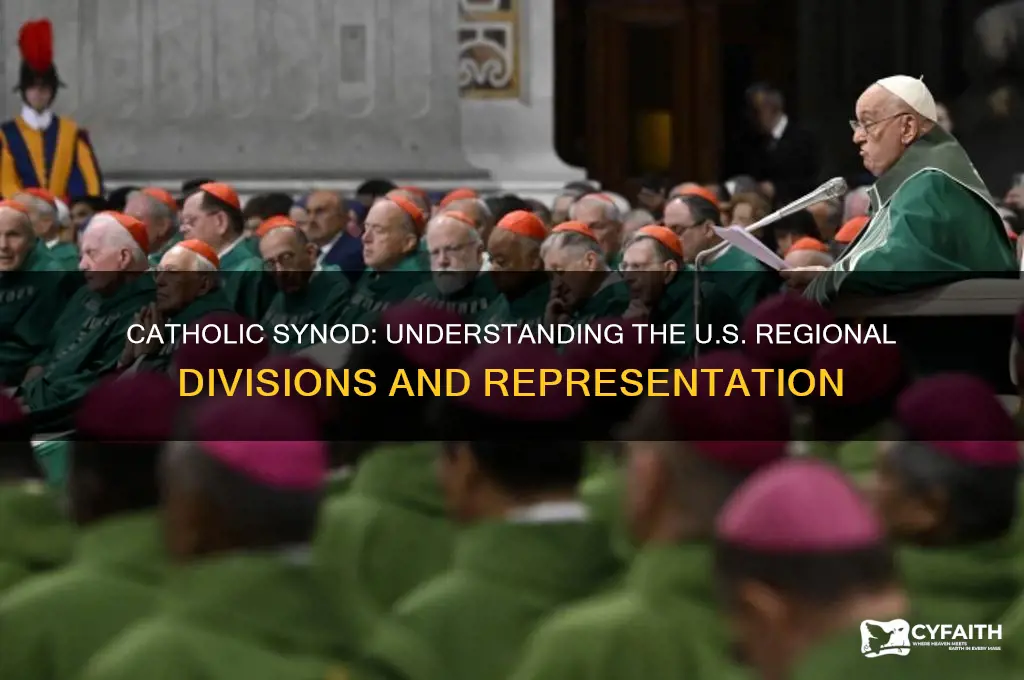 how is the united states divided for the catholic synod