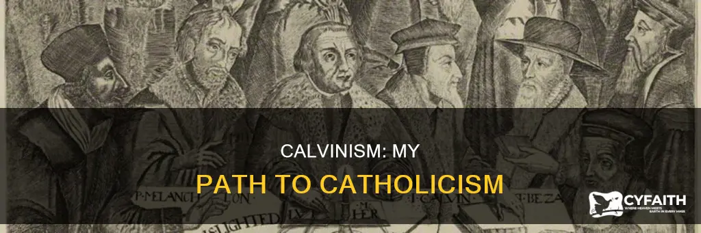 how john calvin made me catholic