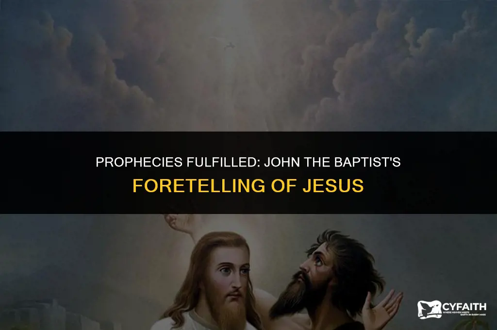 how john the baptist foretold jesus