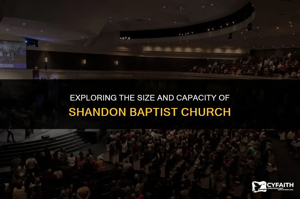 how large is shandon baptist church