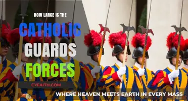 Exploring the Vast Catholic Guard Forces