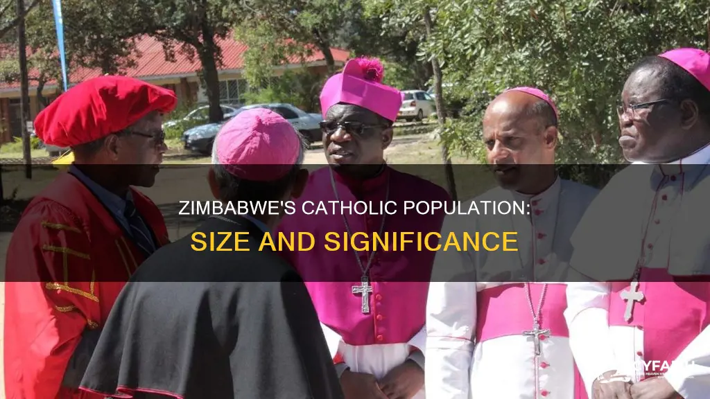 how large is the catholic population in zimbabwe