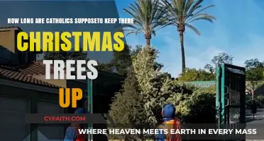 When Should Catholics Take Down Their Christmas Trees?