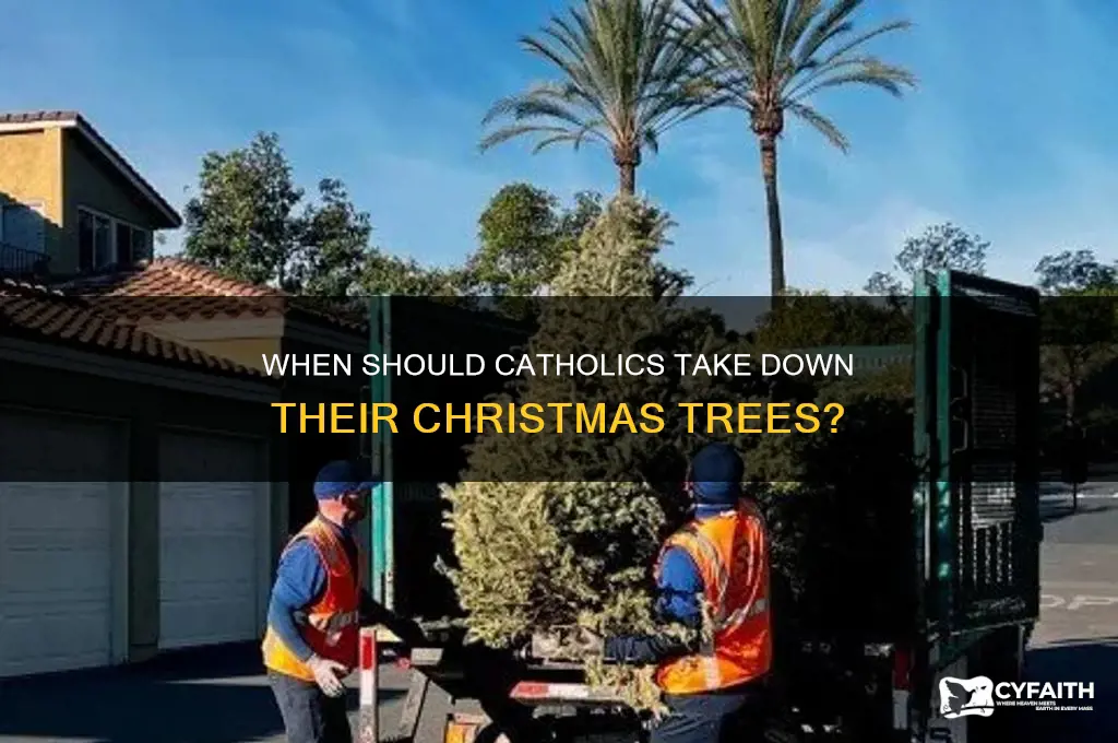 how long are catholics supposeto keep there christmas trees up