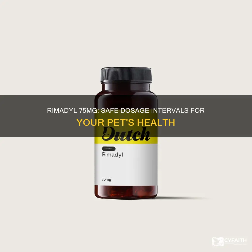 how long between rimadyl 75mg catholic