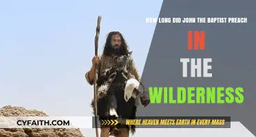 The Wilderness Proclamation: Unraveling John the Baptist's Ministry Timeline
