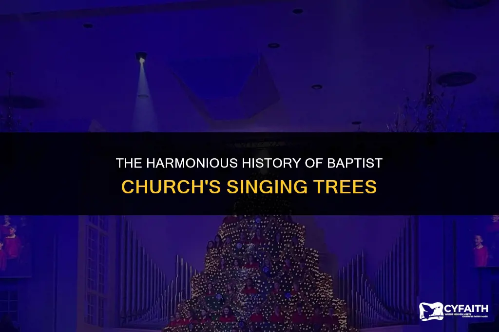 how long has baptist church had the singing trees