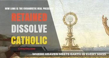 Understanding the Duration of the Eucharist's Real Presence in Catholicism