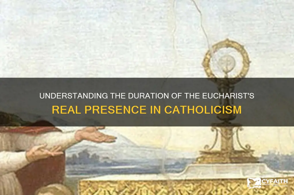how long is the eucharistic real presence retained dissolve catholic