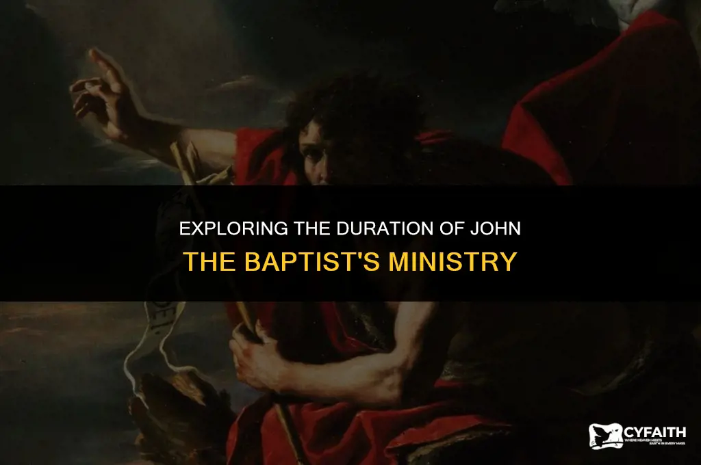 how long john baptist ministryh