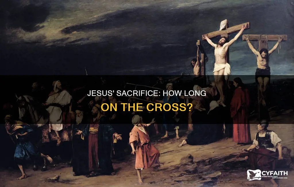 how long was jesus on the cross catholic