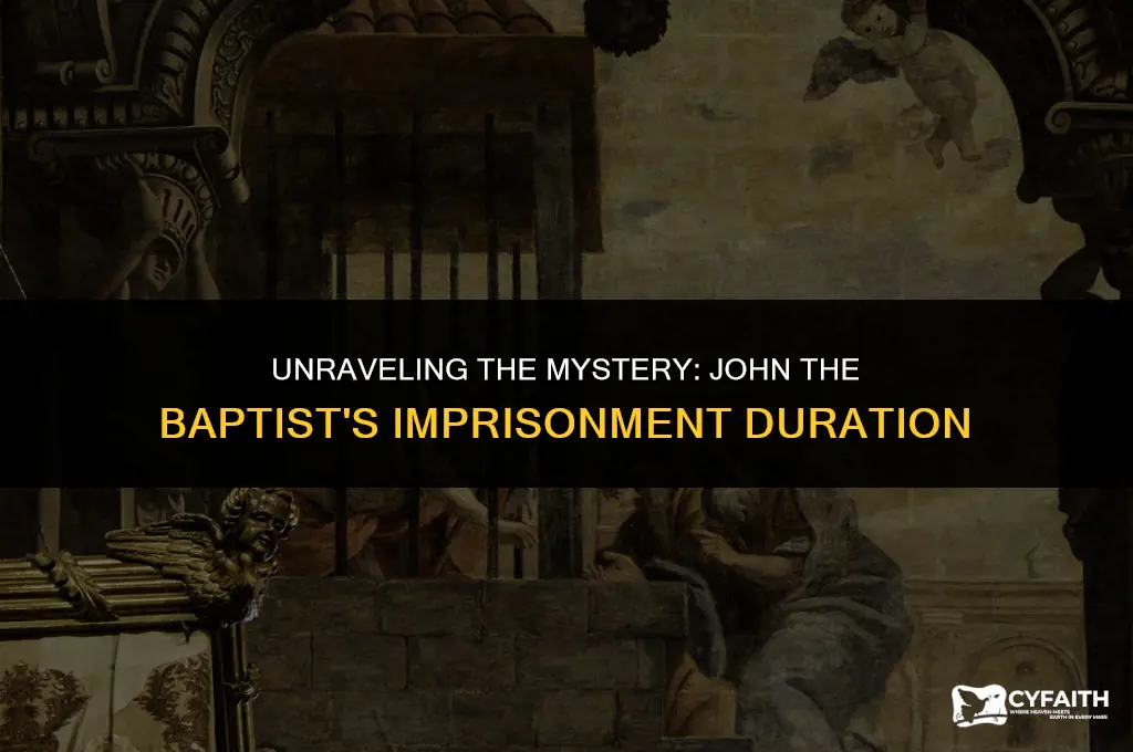 how long was john the baptist in prison for