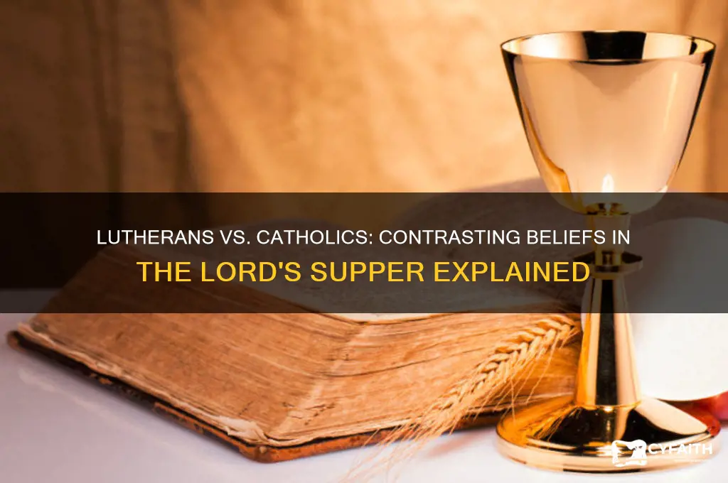 how lutherans differ from catholics in the lord