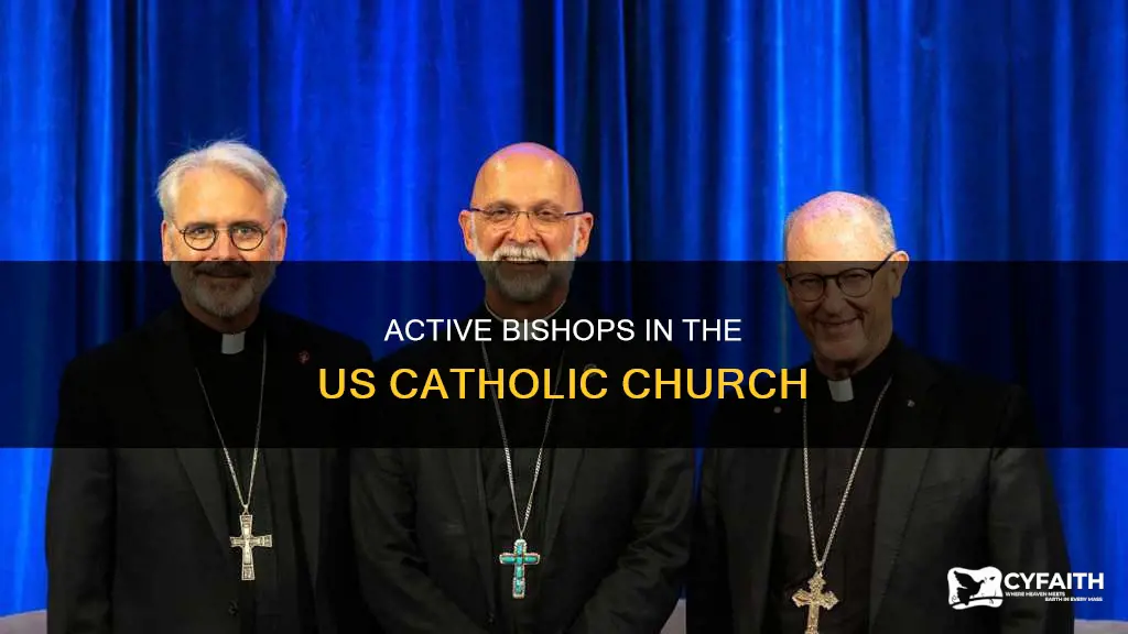 how many active catholic bishops in the us