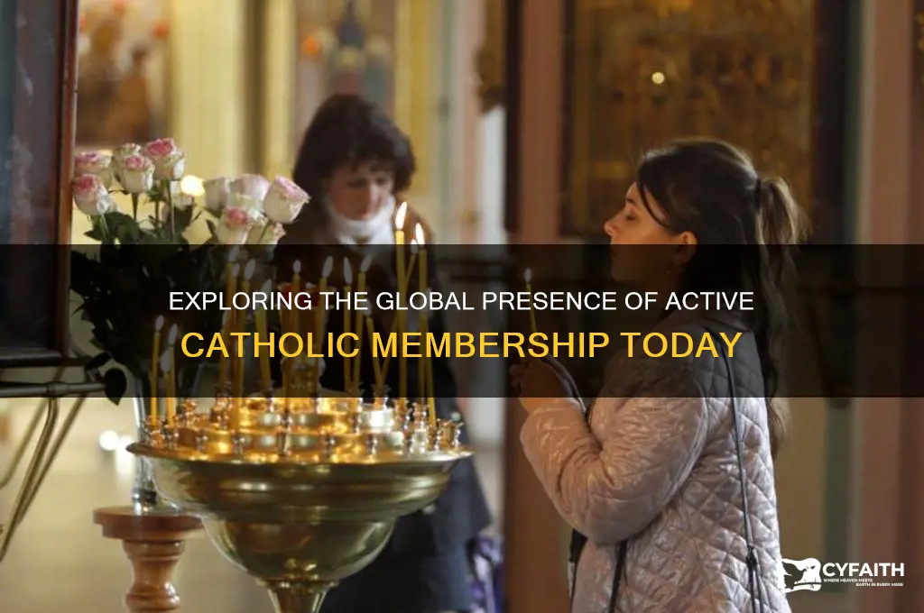 how many active catholics members