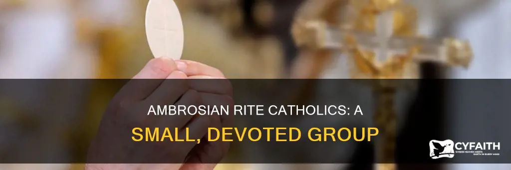 how many ambrosian rite catholics are there