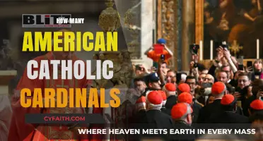 American Catholic Cardinals: Current Count and Their Role in the Church