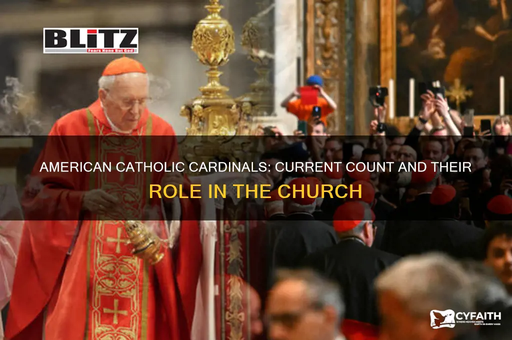 how many american catholic cardinals